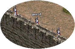 guard archer